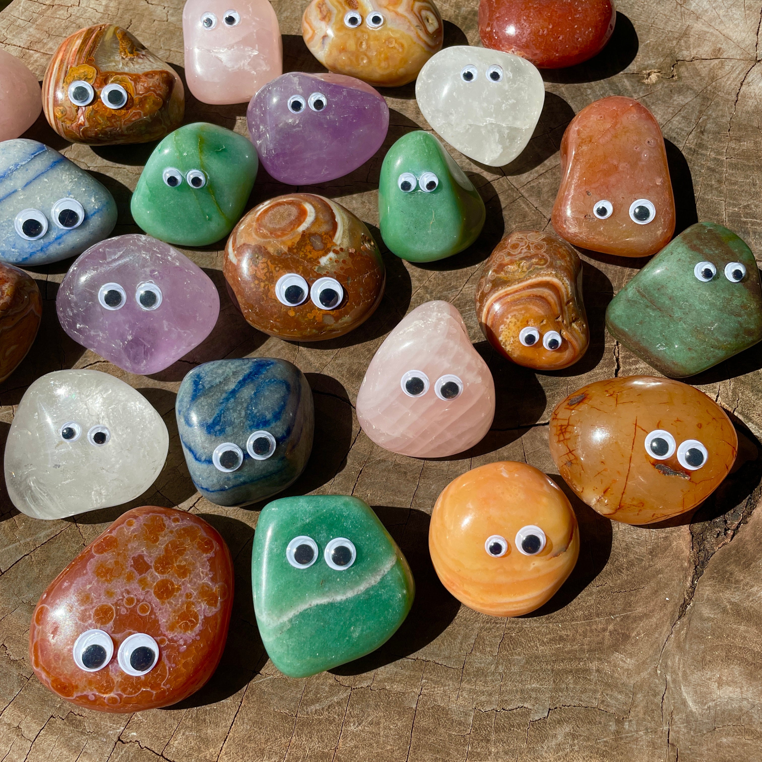 Pet Rooks 'you rock' pet rocks | earth’s gift.